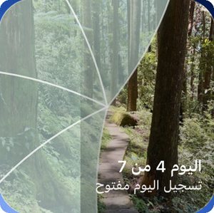 أداة الشاشة الرئيسية في Reveal the Dream تعرض ممرًا في غابة مكشوفًا جزئيًا مع عبارة «اليوم 4 من 7، التسجيل مفتوح».