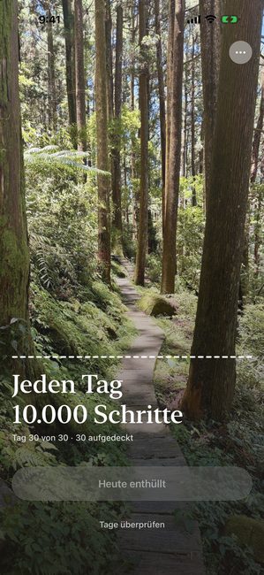 Dieselbe Reise an Tag 30 von 30, das Waldfoto vollständig enthüllt.