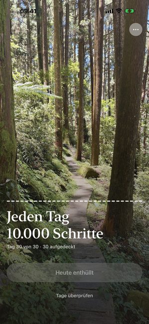 Die App zeigt das Waldfoto komplett aufgedeckt am letzten Tag einer dreißigtägigen Reise.