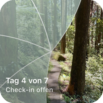 Das Reveal the Dream Homescreen-Widget, zeigt einen teilweise aufgedeckten Waldweg und die Beschriftung "Tag 4 von 7, Check-in offen".