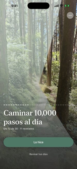 El mismo viaje en el día 12 de 30, la fotografía de bosque descubierta más o menos un tercio en piezas con forma de pétalo.
