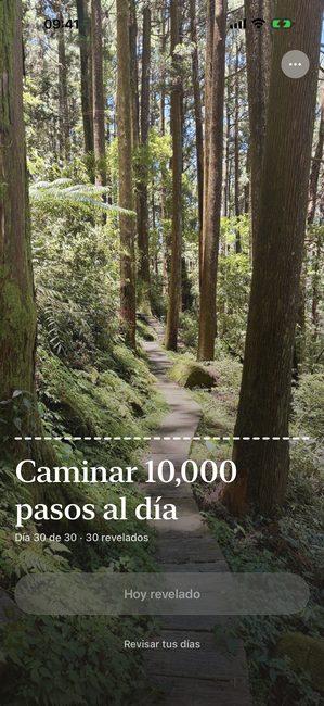 La app mostrando la foto de bosque completamente descubierta en el último día de un viaje de treinta días.