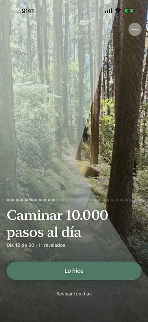El mismo viaje en el día 12 de 30, la fotografía de bosque descubierta más o menos un tercio en piezas con forma de pétalo.