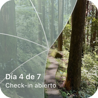 El widget de pantalla de inicio de Reveal the Dream, mostrando un sendero de bosque parcialmente descubierto y la etiqueta "Día 4 de 7, registro abierto".
