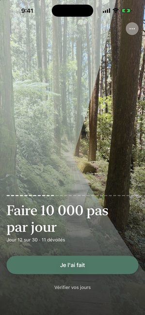Le même parcours au jour 12 sur 30, la photo de forêt dévoilée environ au tiers en morceaux en forme de pétales.
