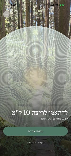 מסע בשם התאמנו למרוץ 10 ק"מ, יום 27 מתוך 66, תמונת יער חשופה חלקית בטבעות קונצנטריות.