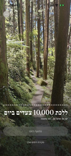 האפליקציה מציגה את תמונת היער חשופה לגמרי ביום האחרון של מסע שלושים יום.