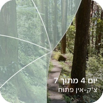 ווידג'ט מסך הבית של Reveal the Dream, מציג שביל יער נחשף חלקית והתווית "יום 4 מתוך 7, צ'ק-אין פתוח".