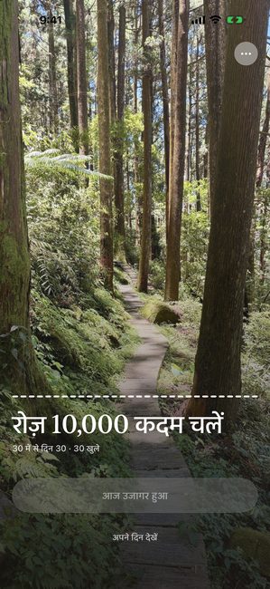 वही यात्रा 30 में से 30वें दिन, जंगल की फ़ोटो पूरी खुली हुई।