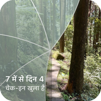 Reveal the Dream का होम स्क्रीन विजेट, जिसमें आंशिक रूप से खुला एक जंगल का रास्ता और लेबल "दिन 4 / 7, चेक-इन खुला" दिख रहा है।