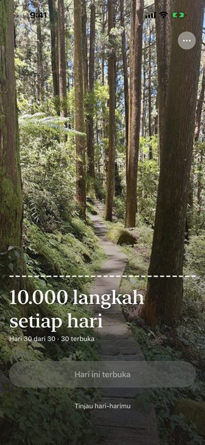 Aplikasi menampilkan foto hutan yang terbuka penuh pada hari terakhir perjalanan tiga puluh hari.