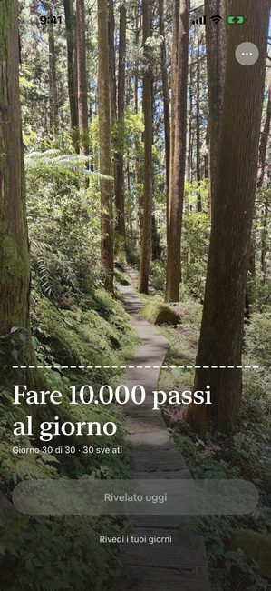 Lo stesso percorso al giorno 30 di 30, la fotografia del bosco completamente rivelata.