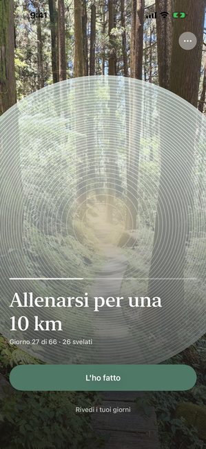 Un percorso chiamato Allenati per una 10K, giorno 27 di 66, una fotografia di un bosco parzialmente scoperta in anelli concentrici.