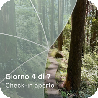 Il widget per la home di Reveal the Dream, che mostra un sentiero nel bosco parzialmente scoperto e l'etichetta "Giorno 4 di 7, check-in aperto".