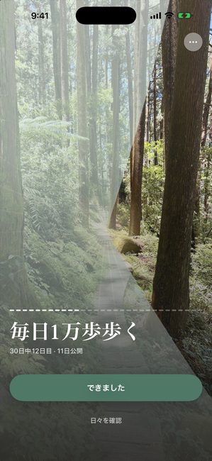 同じジャーニーの30日中12日目。森の写真が花びら形のピースでおよそ3分の1見えている。