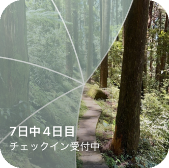 Reveal the Dreamのホーム画面ウィジェット。一部が現れた森の小道と、「7日中4日目、チェックイン受付中」というラベルが表示されている。