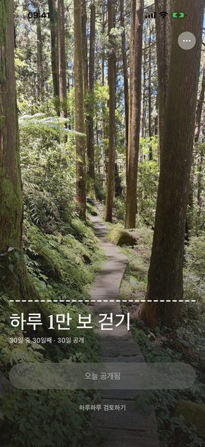 30일 여정의 마지막 날, 숲 사진이 완전히 공개된 모습을 보여주는 앱 화면이에요.
