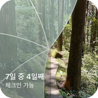 부분적으로 공개된 숲길과 "7일 중 4일차, 체크인 가능"이라는 라벨을 보여주는 Reveal the Dream 홈 화면 위젯이에요.