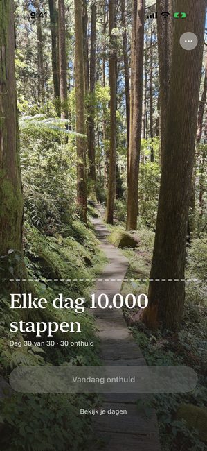 Dezelfde reis op dag 30 van 30, de bosfoto volledig onthuld.
