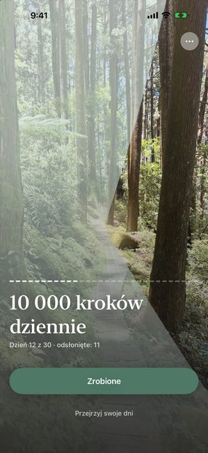 Ta sama podróż w 12. dniu z 30, zdjęcie lasu odsłonięte mniej więcej w jednej trzeciej fragmentami w kształcie płatków.