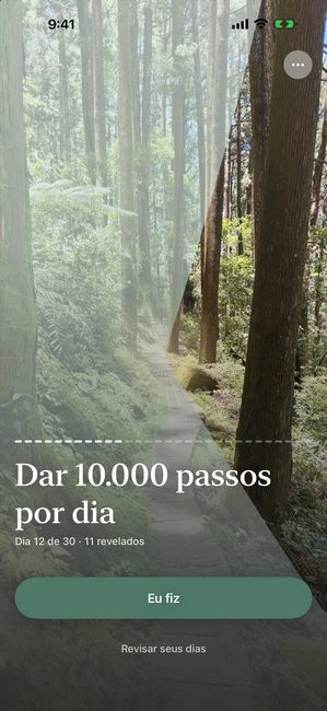 A mesma jornada no dia 12 de 30, a foto da floresta cerca de um terço revelada em pedaços em forma de pétala.