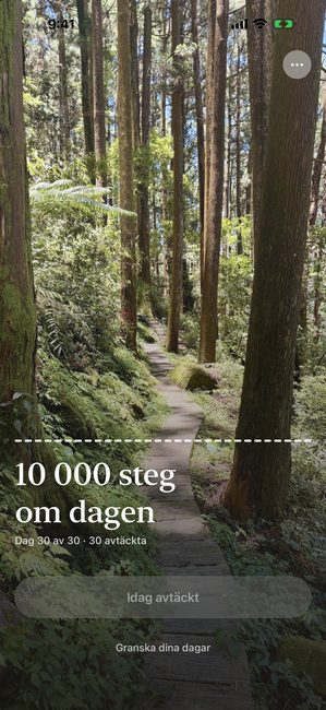 Samma resa på dag 30 av 30, skogsfotot helt avtäckt.
