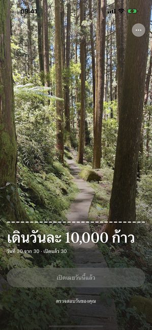 แอปแสดงรูปป่าที่เปิดเผยทั้งหมดในวันสุดท้ายของการเดินทางสามสิบวัน