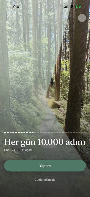 Aynı yolculuk 30 günden 12. günde, orman fotoğrafının yaklaşık üçte biri taç yaprağı biçimli parçalarla açılmış.