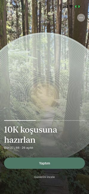 10K koşusu için antrenman yap adlı bir yolculuk, 66 günden 27. gün, eş merkezli halkalarla kısmen açılmış bir orman fotoğrafı.