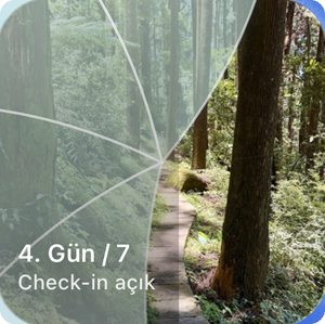 Kısmen açılmış bir orman yolunu ve Gün 4 / 7, check-in açık etiketini gösteren Reveal the Dream ana ekran pencere öğesi.