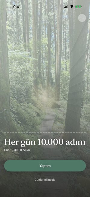 Günde 10.000 adım için otuz günlük bir yolculuğun ilk gününde tamamen örtülü bir orman fotoğrafını gösteren Reveal the Dream uygulaması.