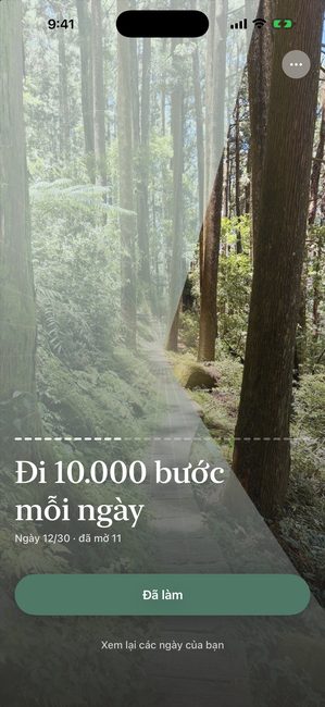 Cùng hành trình ở ngày 12 trên 30, bức ảnh khu rừng hé lộ khoảng một phần ba thành những mảnh hình cánh hoa.
