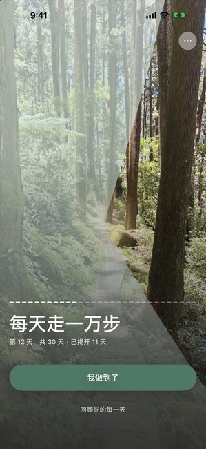 同一段旅程的第 12 天（共 30 天），森林照片大约三分之一以花瓣形状的块揭开。
