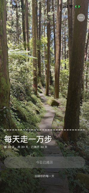 应用显示在三十天旅程最后一天完全揭开的森林照片。