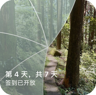 Reveal the Dream 主屏幕小组件，显示部分揭开的森林小径，以及标签“第 4 天，共 7 天，可以打卡”。