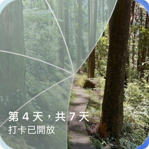 Reveal the Dream 主畫面小工具，顯示部分揭開的森林小徑，標籤為「第 4 天，共 7 天，可以打卡」。