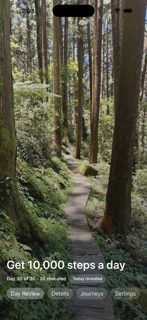 The same journey on day 30 of 30, the forest photograph fully uncovered.