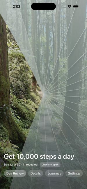 The same journey on day 12 of 30, the forest photograph roughly a third uncovered in petal shaped pieces.