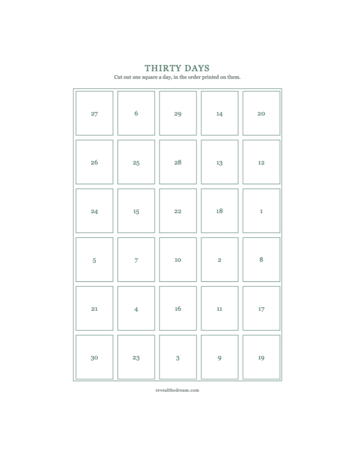 The thirty day cover sheet: a grid of thirty numbered squares to cut out, in scattered order.